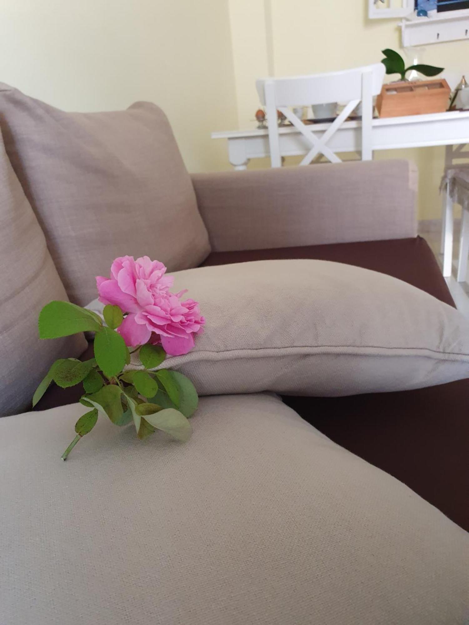 Casa Vacanze Rosy "Nel Verde" Palinuro Kültér fotó