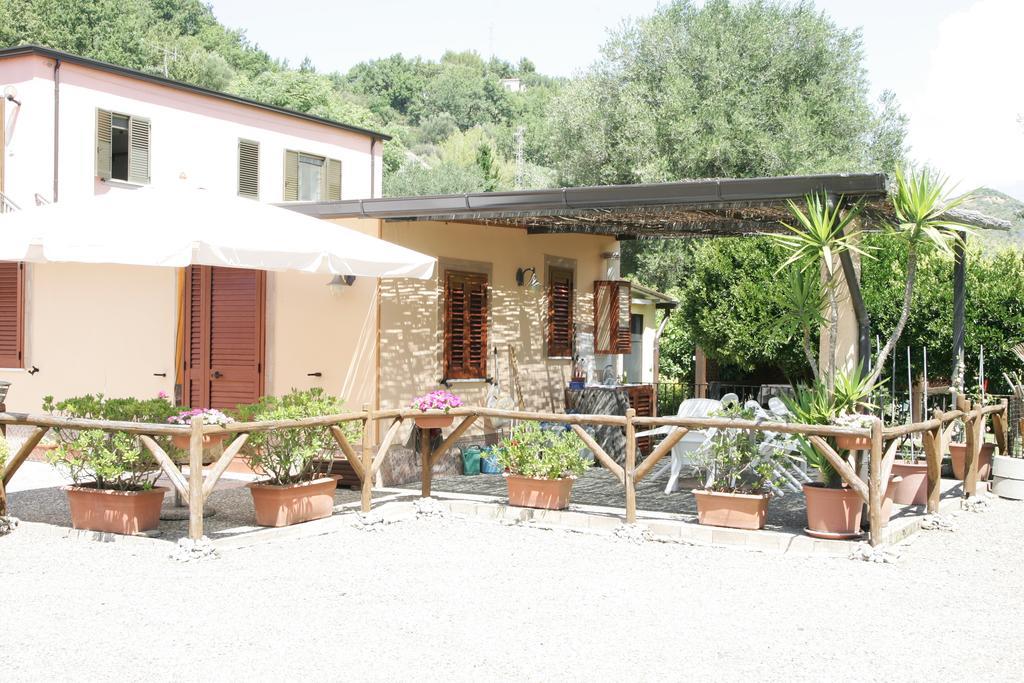 Casa Vacanze Rosy "Nel Verde" Palinuro Szoba fotó