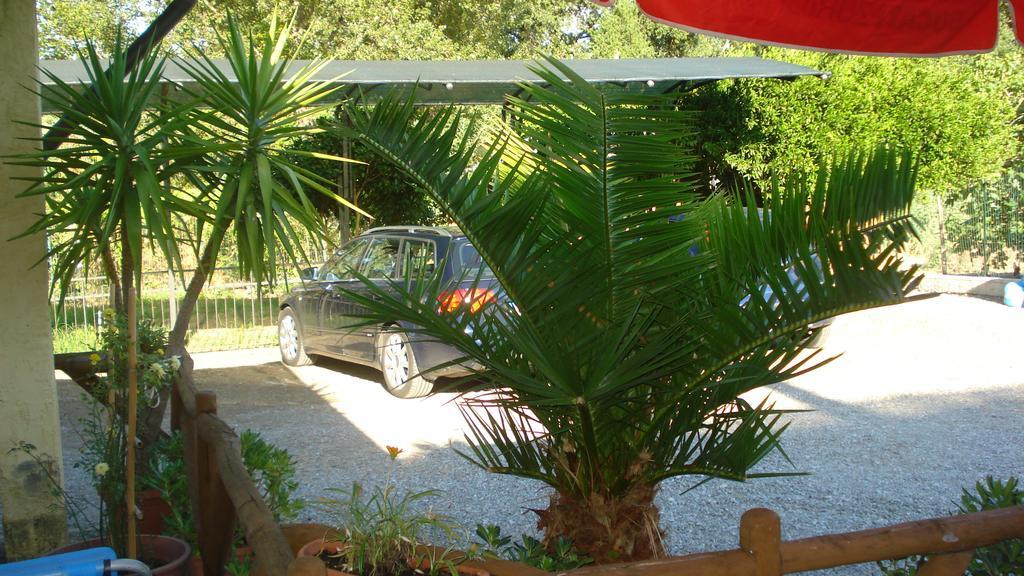 Casa Vacanze Rosy "Nel Verde" Palinuro Kültér fotó